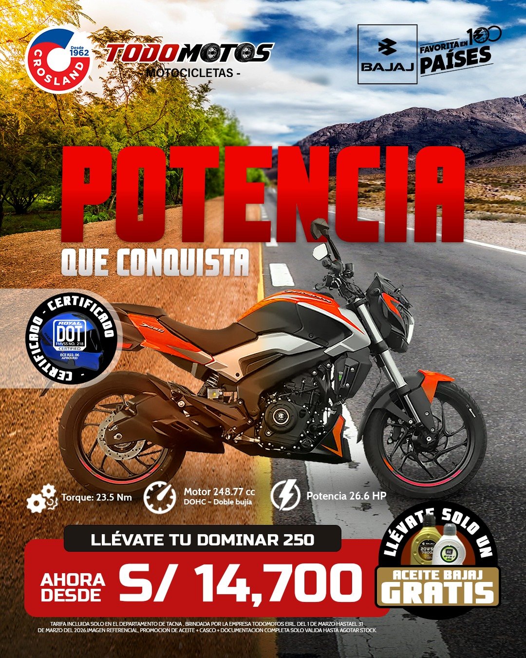 Dominar 250